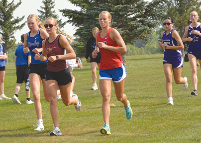 Cross Country Runners In Action