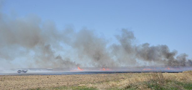 Fire Starts Behind New McDonalds