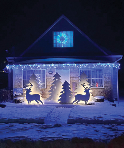 Park District Lighting Contest Winners