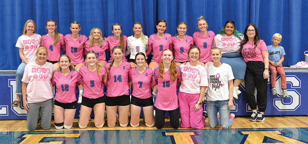 Blue Jays Hold Pink Out