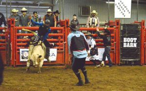 Bull Bash Returns To Stanley