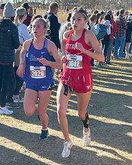 Athletes Complete At State Cross Country