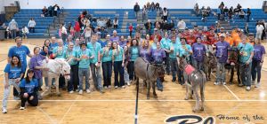 Stanley FFA Hosts Donkey Basketball