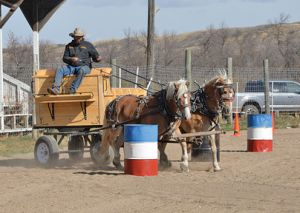 Draft Horse Challenge Series Wraps Up Year