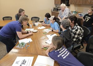 Mountrail County 4-H Project Day