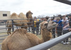 Reading Month Wraps Up At Stanley Elementary