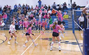 Volleyball Team Wins Two At Home