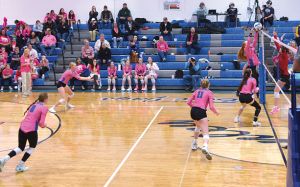 Blue Jay Volleyball Team Splits Matches