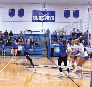 Volleyball Team Drops Matches With South Prairie And DLB