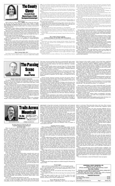 Issue content page 