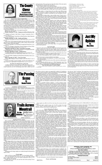 Issue content page 